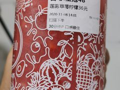 -野萃山·潮汕厚果汁(十亩地店)
