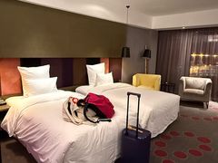 -南京禄口机场雅高铂尔曼大酒店