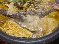 -探鱼·鲜青椒爽麻烤鱼(广州花都来又来店)