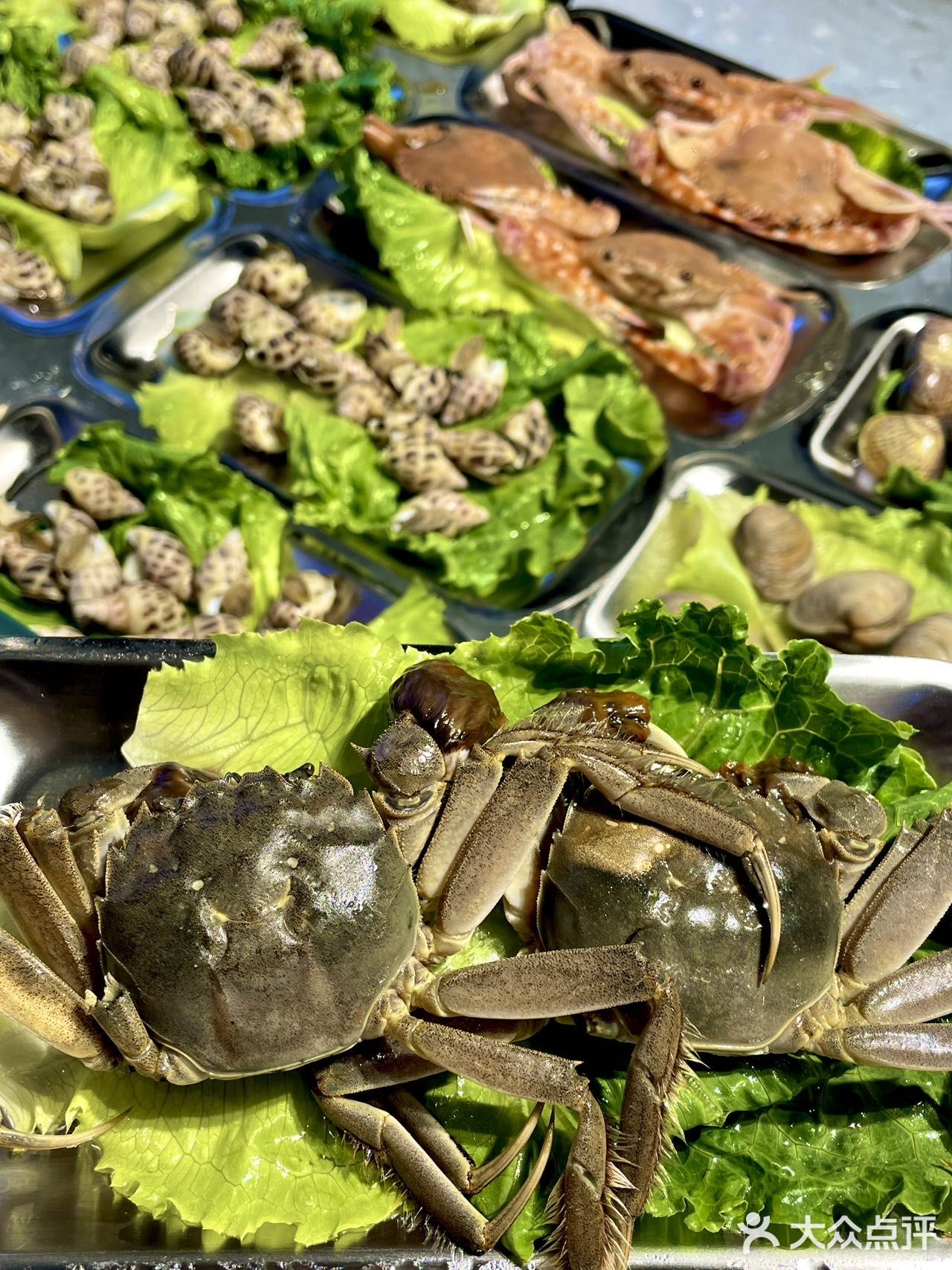 够鲜👍👍绵阳新开的现捞现煮的海鲜火锅！！