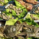 够鲜👍👍绵阳新开的现捞现煮的海鲜火锅！！