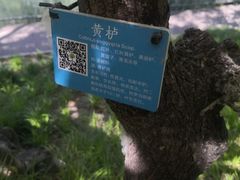 -南长河公园