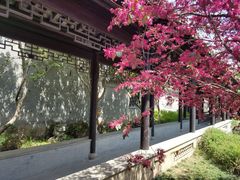 -口岸雕花楼