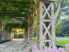 -北京张裕爱斐堡酒庄