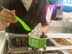-Salud撒露欧洲冻酸奶(五道口购物中心店)