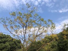 -中华贤母园-陶渊明纪念馆