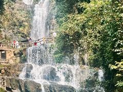 -鼎湖山风景区