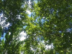 -长春公园(普阳街道)