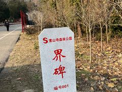 -素山寺森林公园