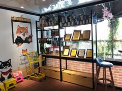 -柴犬高等学院·狗咖·柴犬售卖·宠物训练