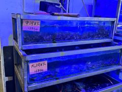 -八仔大富楼·河鲜(西江店)