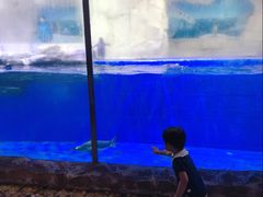 -华夏文旅海洋公园