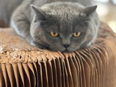 -Me Coffee下午茶艺术空间