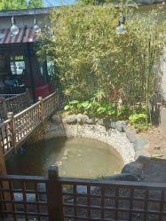 -爱儿美儿童摄影(朝阳公园店)
