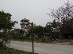 -长洲岛