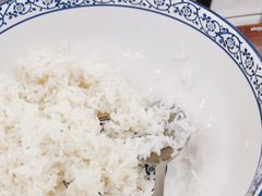 -长平肥姐白粥·海鲜打冷