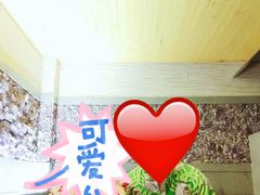 -重庆南山海昌汤都