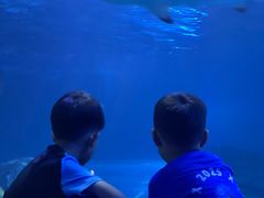 -太平洋海底世界