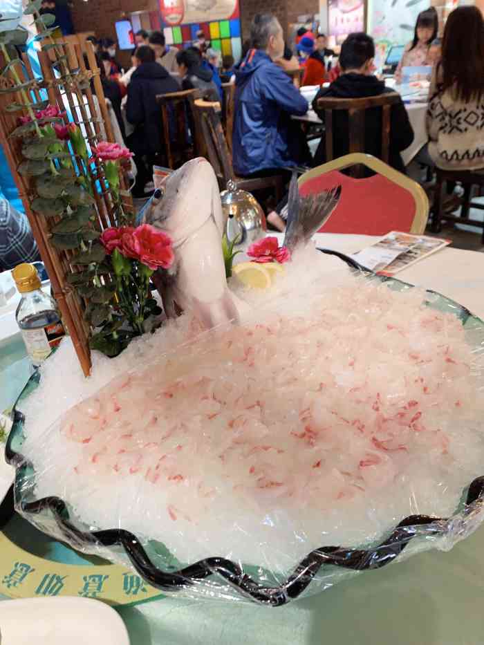 渔意如意·首创顺德金鲷鱼生-"20年老友难得回广州 点名要来这家上榜