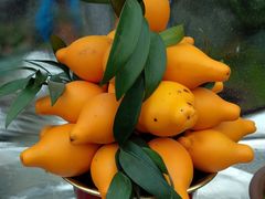 -龙大花卉苗木市场