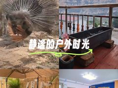 -大海别墅民宿农家院(十渡店)