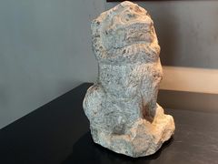 -觀芷隐轩