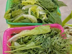 -15年老字号鑫鑫猪肚鸡·椰子鸡海南火锅(兴隆华侨农场店)