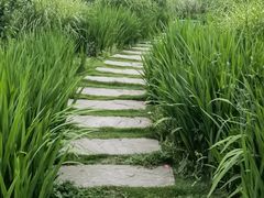 -洪湖家庭农场·团建·露营·会议