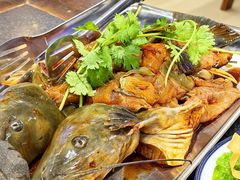 -秦巴石锅鱼(文化南路店)