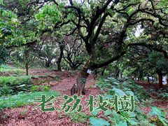 -贤江公园