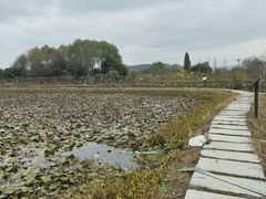 -白塔湖国家湿地公园