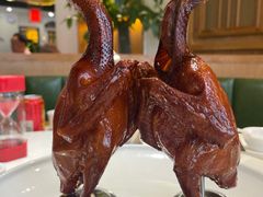 -大鸽饭(马王堆店)