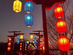 -青龙湖公园