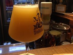 双倍IPA-TINY