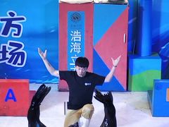 -成都浩海立方海洋公园