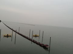 -贡湖湾湿地公园