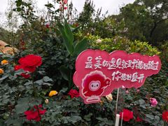 -人民公园(罗湖区)