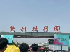 -曹州牡丹园