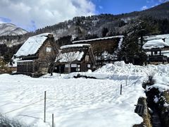 -白川乡与五箇山的合掌构造村落