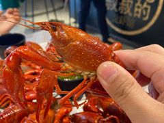 清蒸虾皇-李叔叔虾蟹大排档(青羊店)