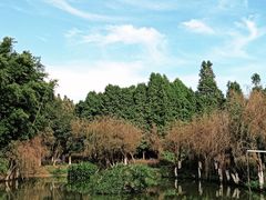 -捞渔河湿地公园