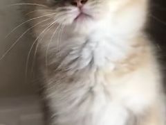 -万达广场(南京江宁店)