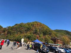 -天女山森林公园
