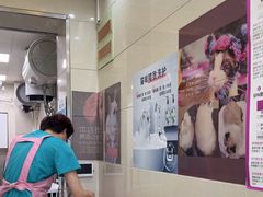 -北京观赏动物医院·24小时大型综合·猫专科·异宠专科