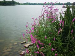 -石家庄市植物园