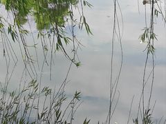 -MAP CHA普洱茶馆(翠湖店)