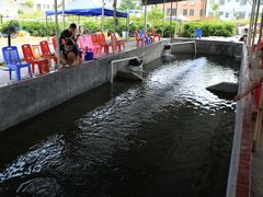 -小象钓虾·营地烧烤(洛溪店)