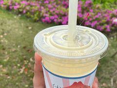 杨枝甘露滑布蕾-伏小桃(明瓦廊店)
