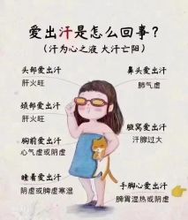 -琅悦月子会所(香格里拉旗舰店)