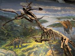 -自贡恐龙博物馆